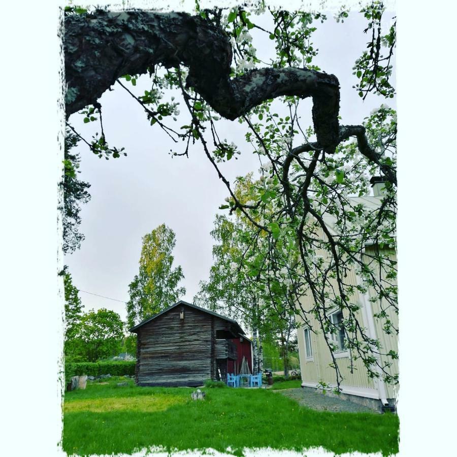 Willa Mustijoki Laukkoski Exterior photo